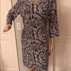 100% Silk Garnett Hill Dress